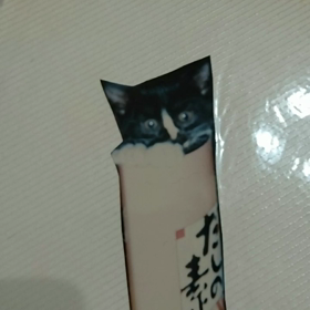 12月21日 ｼｬﾁｵさんの日の画像