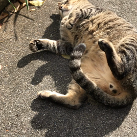 朝起きられた〜の画像