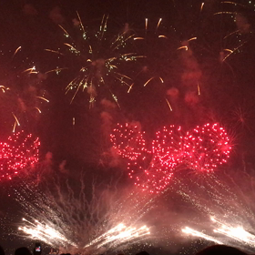 ただいま その2 (*´-`)の画像