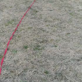 いつかの、息子の画像