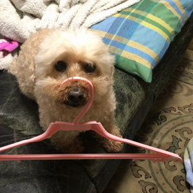 いい天気はいいんだけど・・・の画像