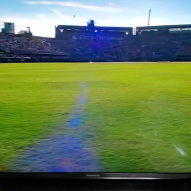 鳥肌が……の画像