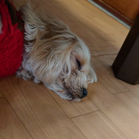 おネム時間帯の画像