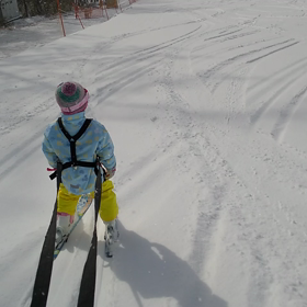 ハーネスの画像