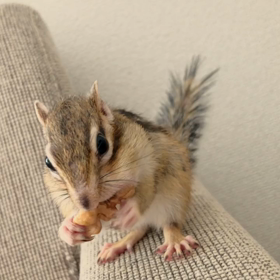 豪快すぎるもも隊員(≧∀≦)の画像