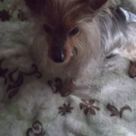 バーーンの画像