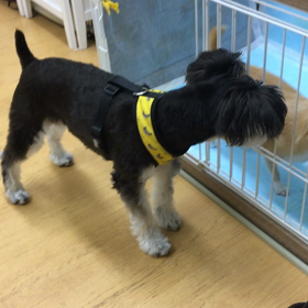 成長したねぇ。の画像