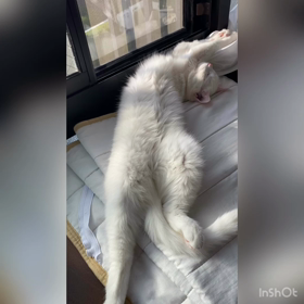 今年もあと1ヶ月ちょっとだよ！！！の画像