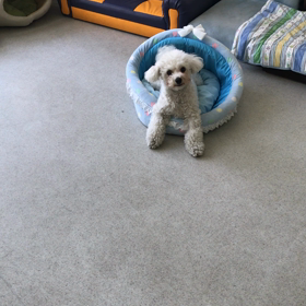 ♪プレイルーム動画♪①の画像