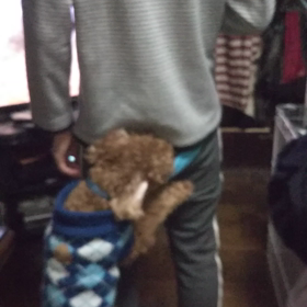 今夜の勝っちゃんの画像