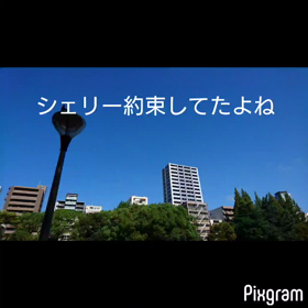 いつも話しかけてるの画像