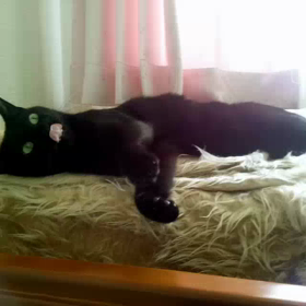 今ごろなにしてるかな。の画像