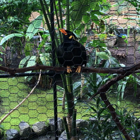 円山動物園 ⑧の画像