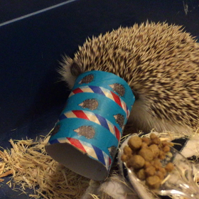 トイレットペーパーちゃんの画像