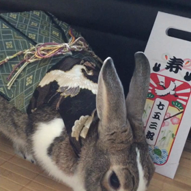 七五三お参り⛩の画像