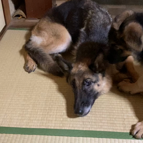 ご遠慮なくの画像