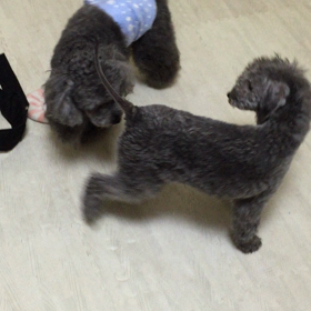 ▶︎初対面の画像