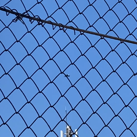 タッチアップ in 沖縄 61の画像