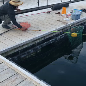 釣果悪かったみたいで…の画像