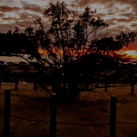 なっさの炎の画像