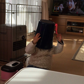 誰も教えてないのに…の画像