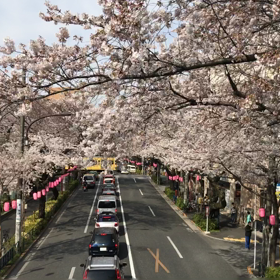 起業ストーリーは突然にpart1の画像