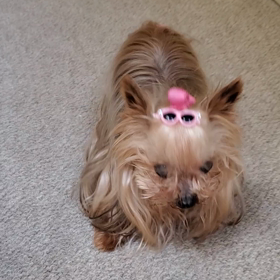 やる気はあります！笑の画像