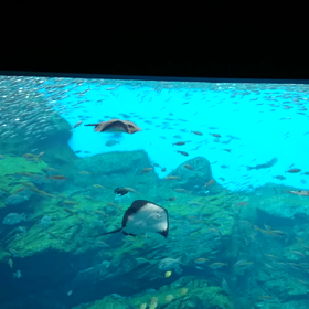 壮大な海のドラマ。Sparkling of Lifeの画像