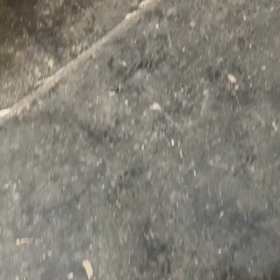 15年ぶりの画像