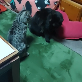 寝んねするよの画像