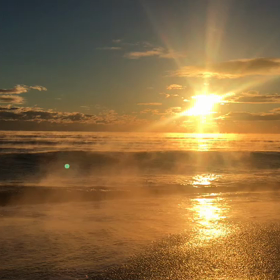 最近のわたしの画像