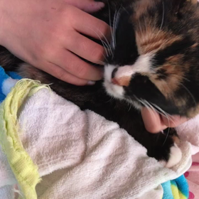 朝から娘のお膝での画像