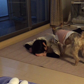 大事なベッドが…の画像