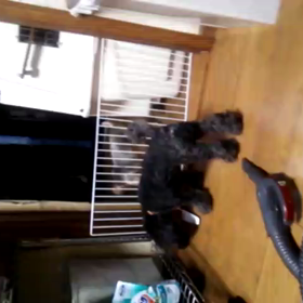 もうデブと呼ばないで!!の画像