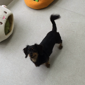 ♪プレイルーム動画♪②の画像