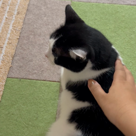 仕事かー。やっぱり我が子に支えられていますの画像