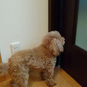 【親父の意地悪❗】の画像