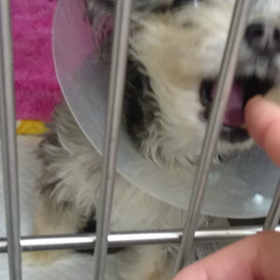 入院6日目。の画像