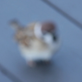 羽田空港で撮ってきたの画像