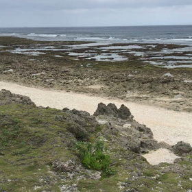 スーサイド波情報❗️《10/17》の画像