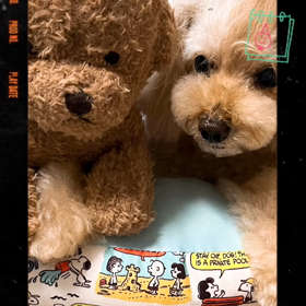 momoちゃん　13才のBD　の画像