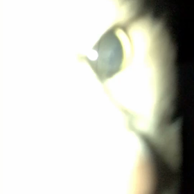 松山市東環状線近くの(茶)迷い猫です！の画像