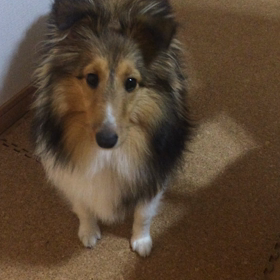 怒られた(^^;;の画像