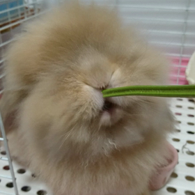 好きなアングルの画像