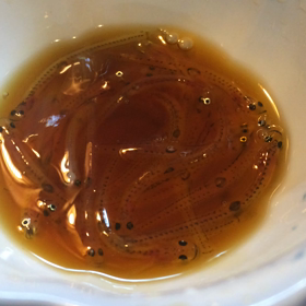 新鮮なものの画像