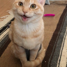 そして今日。っていうか、昨日の様子。の画像