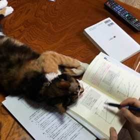 遊んでよ〜の画像