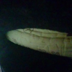 ＃元気でんがな～～～＃の画像