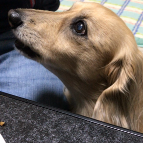 最近ね！の画像