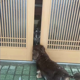 ケンちゃんを送っての画像